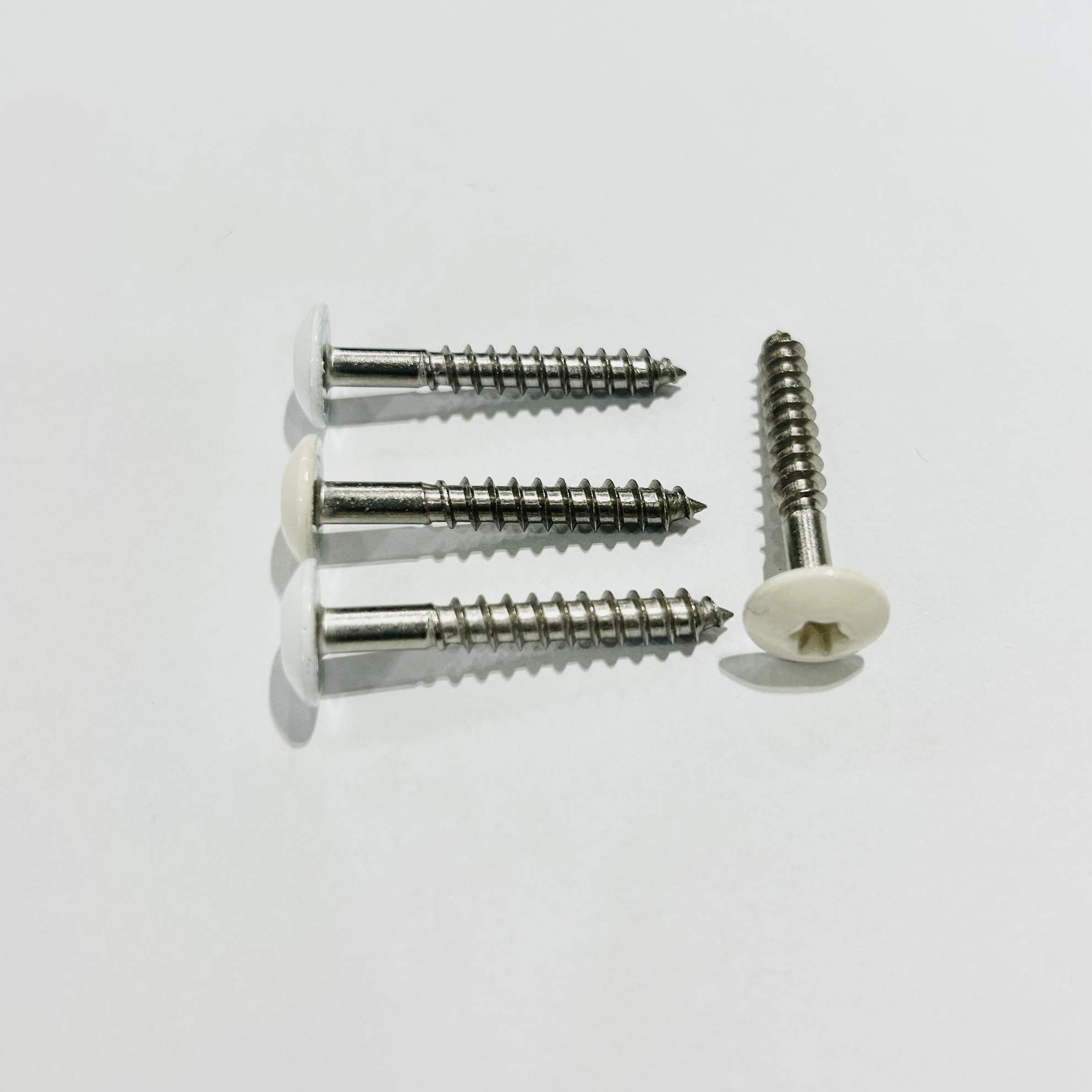 Nova. Fastener - HPL Board Screws (Head Painted)